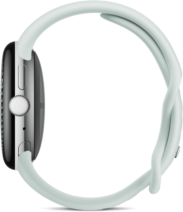 Pixel Watch 5