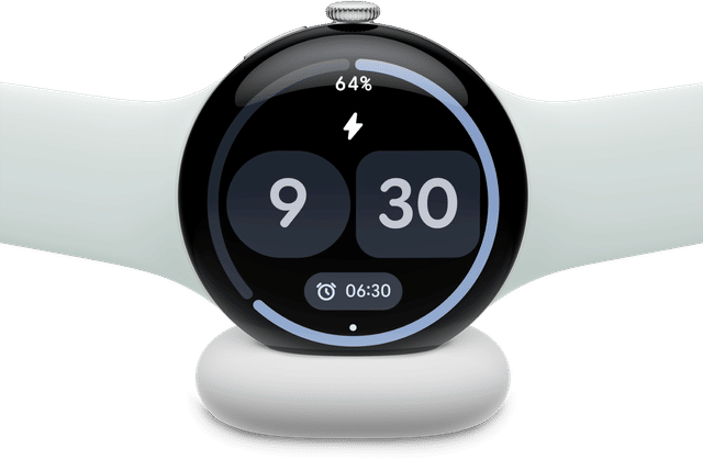 Pixel Watch 5