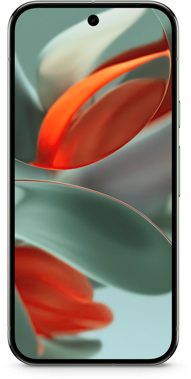 Pixel 9 Pro