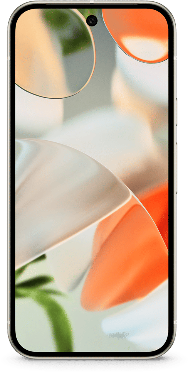 Pixel 9
