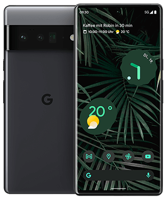  Google Pixel 6 Pro Front-/Rückansicht
